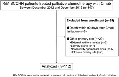 Predictive Value of Cetuximab-Induced Skin Toxicity in Recurrent or Metastatic Squamous Cell Carcinoma of the Head and NECK